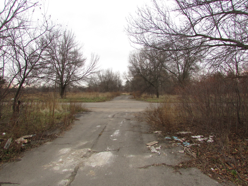 Illustration for article titled Me and the Subaru Visited Love Canal Today